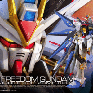 Bandai RG 1/144 #14 Strike Freedom Gundam